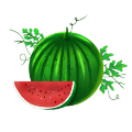 Bio -Nahrungsmittel -Wassermelonensamenöl